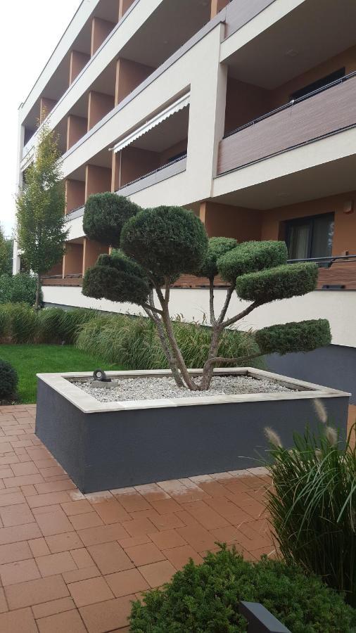 Big Forest Apartman Debrecen Exterior foto